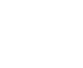 Logo Temani Photobooth